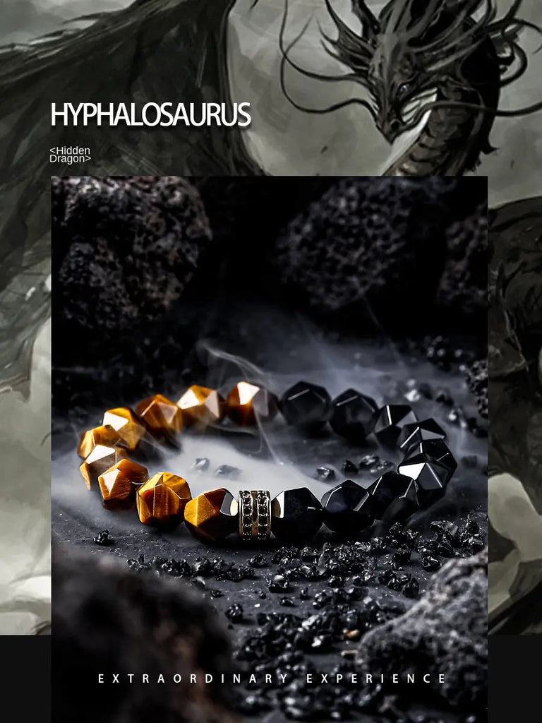 [Hidden Dragon] Tiger-Eye Bracelet Boys Senior Sense Black Agate Bead Bracelets for Boyfriend Gift Ornament Buddha&Energy